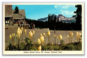 Indian Basket Grass Mt Rainier National Park Washington UNP Chrome Postcard S25