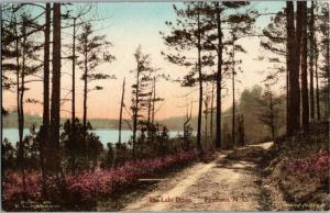 The Lake Drive, Pinehurst NC Hand Colored c1919 Vintage Postcard M26