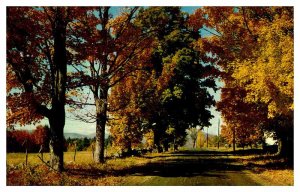 Postcard ROAD SCENE Liberty New York NY AU7290