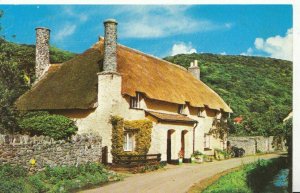 Somerset Postcard - Thatched Cottage - Bossington - Ref 1667A