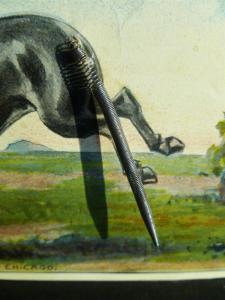 Postcard Mechanical Spring Tail Donkey A Kick Coming If You Don't Write Soon C37