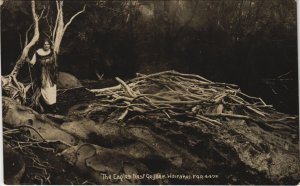 PC NEW ZEALAND, WAIRAKEI, EAGLES NEST, Vintage REAL PHOTO Postcard (B41486) 