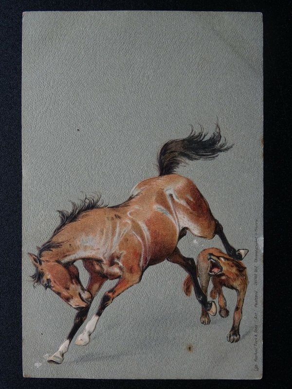 THE NOBLE HORSE Series (2) c1903 UB Embossed Postcard by Raphael Tuck 882 