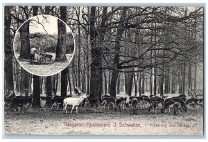 Tiergarten-Restaurant Berlin Germany Postcard Feeding The Game c1910