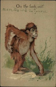 GA Novelty Series Orangutan Monkey Ape c1910 Vintage Postcard