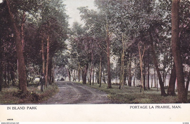 PORTAGE LA PRAIRIE , Manitoba, Canada , 00-10s In Island Park