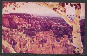 Utah - Sunset Point - Bryce Canyon National Park - [UT-050]