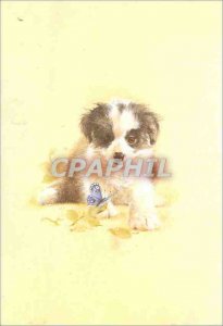 Postcard Modern Dog Butterfly