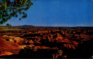 Arizona Phoenix The Painted Desert