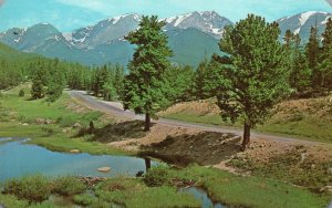 Vintage Postcard 1977 Beaver Dams In Hidden Valley On The Trail Ridge Road CO