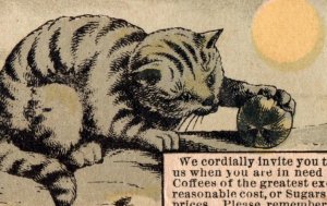 1880s Jos. Stiner & Co. Spices Sugars Teas Coffees Cute Cat Ball & Moon F136