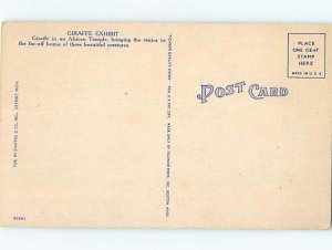 Linen ZOO SCENE Detroit Michigan MI AG1809@