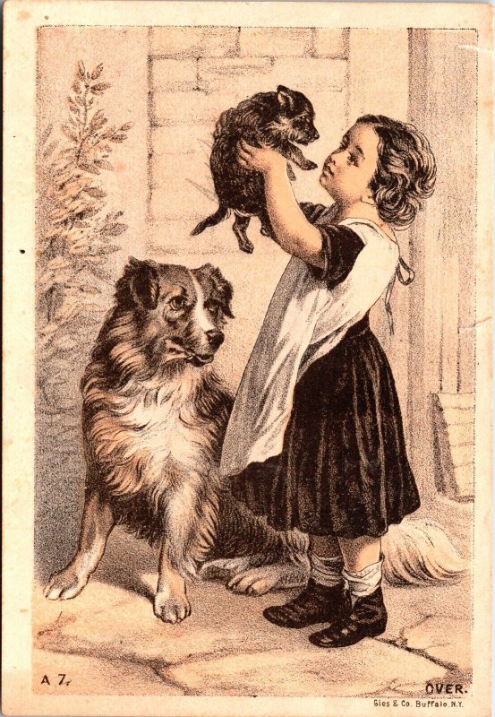 Vintage Dr Fernner's Eye Salve Quack Remedy Girl Dog Victorian Trade Card (RARE)