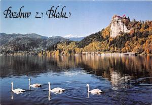 BG27847 bled slovenia