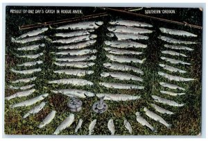 1909 Result One Days Catch Rogue River Fish Fishing Rod Southern Oregon Postcard 