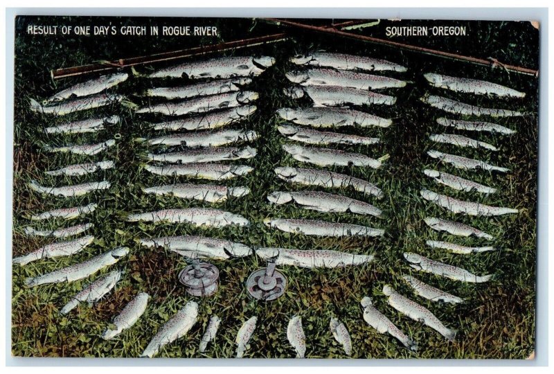 1909 Result One Days Catch Rogue River Fish Fishing Rod Southern Oregon Postcard 