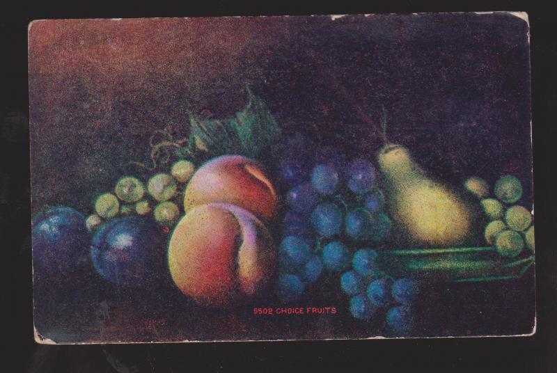 Painting Of Fruit - Used In Canada 1909 -  Corner & Edge Wear
