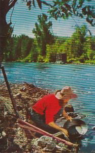 Typical Gold Prospector 1964