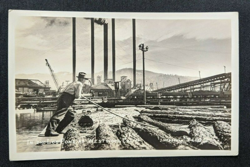 Mint Vintage In the Log Pond Westwood California Real Photo Postcard RPPC