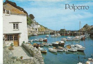 Cornwall Postcard - Polperro, The Outer Harbour. Posted in 1993 - ZZ820