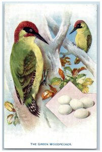 c1910 Green Woodpecker British Birds and Their Eggs Aquarette Tuck Art Postcard