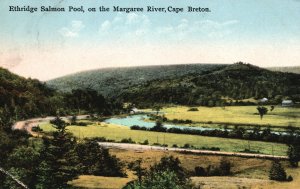 Vintage Postcard 1929 Ethridge Salmon Pool on the Margaree River Cape Breton CAN