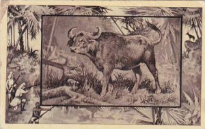 M J Mintz Animal Series The African Buffalo