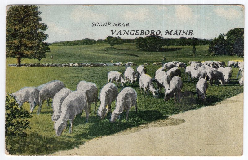 Scene Near Vanceboro, Maine