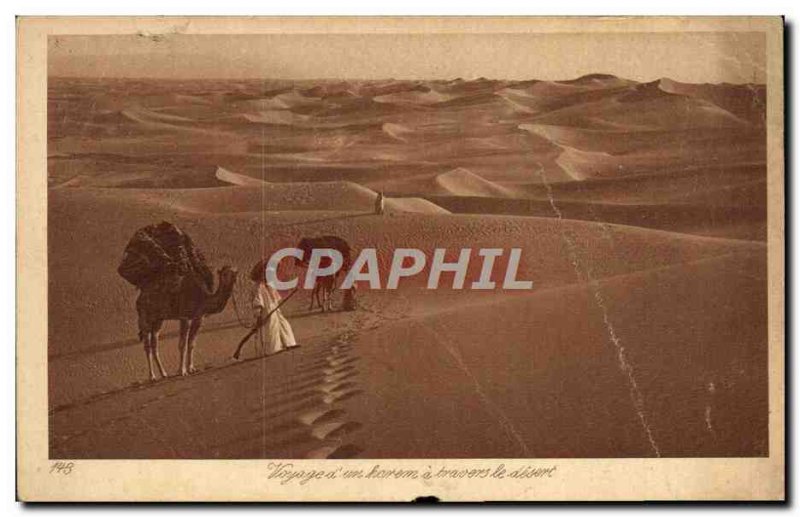 Old Postcard Travel & # 39un harem through the desert