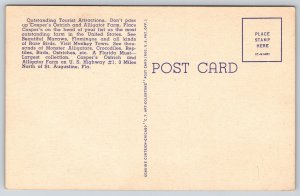 St Augustine Florida~Caspers Farm~Alligator & Ostrich Egg~Linen 1940s Postcard