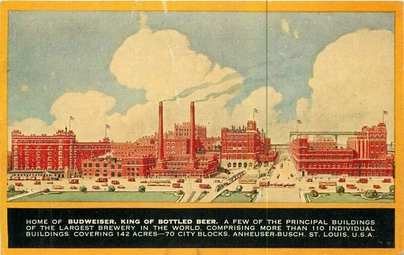 St Louis Missouri Advertising C-1910 Budweiser Beer Postcard 21-10559