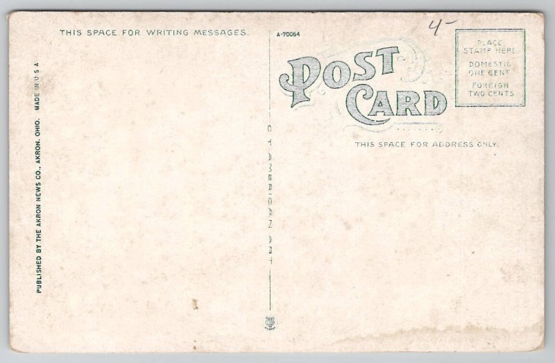 Children's Hospital Formerly McKinley Home Canton Ohio Postcard K47