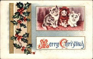 Christmas Kittens Cats Holly Berry Embossed c1900s-10s Postcard