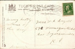 Vtg Token of Love Two Swallows on Basket of Daisies 1910s Raphael Tuck Postcard