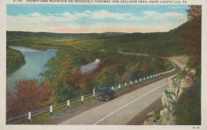 Postcard Browntown Mountain Roosevelt Highway + Sullivan Trail Laceyville PA