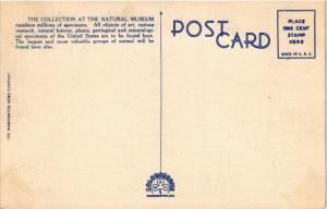 NATIONAL MUSEUM WASHINGTON DC