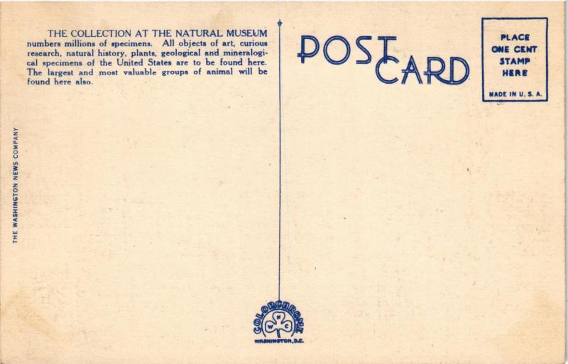 NATIONAL MUSEUM WASHINGTON DC