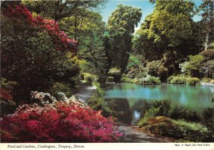 uk45393 pond gardens cockington torquay devon uk