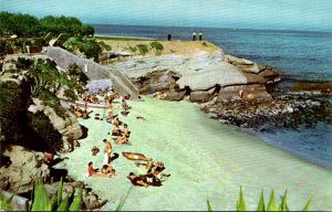 California La Jolla Shoreline View