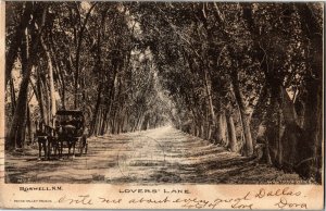 Shady Road Lovers Lane Roswell NM c1909 Vintage Postcard B25