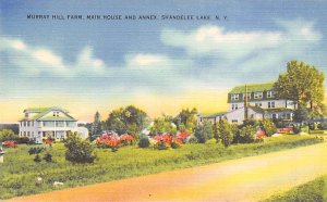 Murray Hill Farm Shandelee, New York NY Postcard