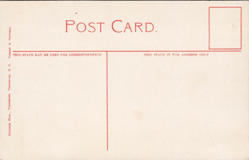 Vancouver BC Large Cedar Tree Stanley Park Unused Edwards Bros Postcard H21