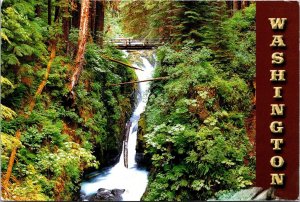 Washington Olympic National Park Sol Duc Falls
