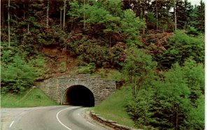 Great Smoky Mountains National Park, U.S. 441, Newfound Gap, Rhododendr postcard