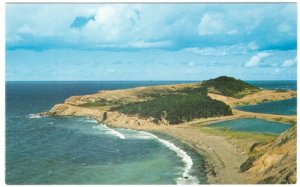 Presqu'ile, Cabot Trail, Cape Breton, Nova Scotia, Vintage Chrome Postcard