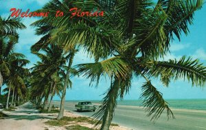 Vintage Postcard Drive Along Highways Beautiful View & Sandy Beaches Florida FL