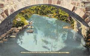 Arkansas AR   OLD STONE BRIDGE Over CEDAR CREEK  Petit Jean State Park  Postcard