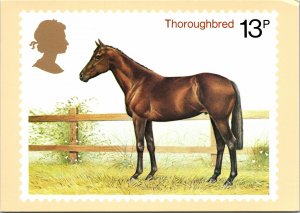 VINTAGE CONTINENTAL SIZE POSTCARD UK THOROUGHBRED HORSE ON POST OFFICE CARD 1978