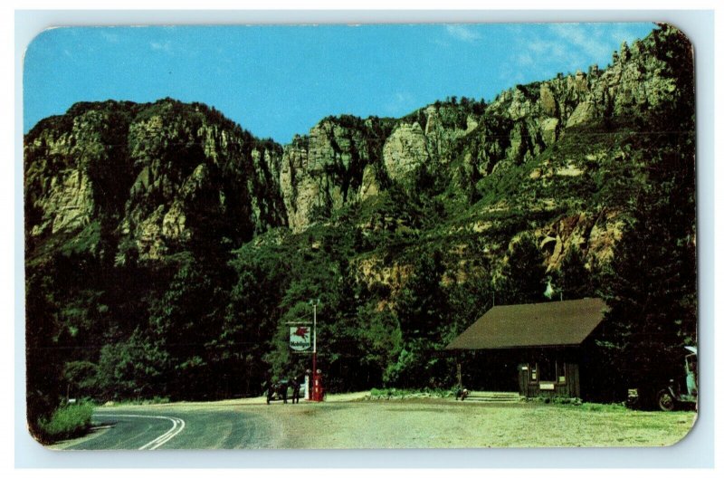 c1950's Junipine Cabins Flagstaff Arizona AZ Vintage Postcard 