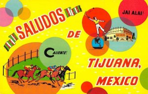 Tijuana B.C. Mexico Saludos de Jai Alai! Caliente! vintage pc ZD549472 